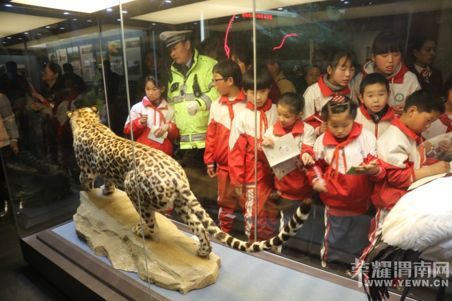 ������������ض�ͯ̽������ݵİ���