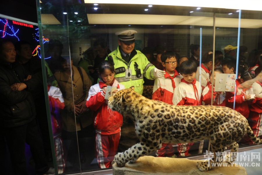 ������������ض�ͯ̽������ݵİ���