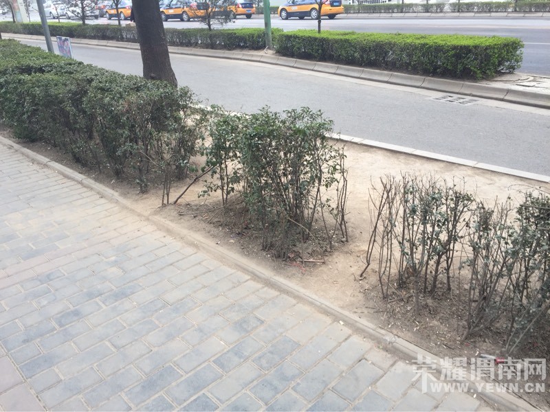 ��������̻��������ﱾ��û��·���ߵ��˶��˾���·�ˣ�ͼ��