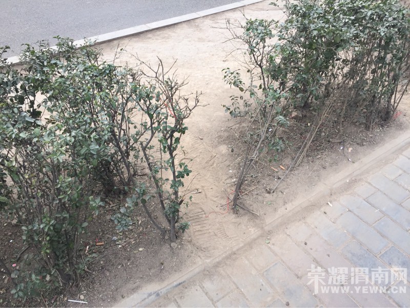 ��������̻��������ﱾ��û��·���ߵ��˶��˾���·�ˣ�ͼ��