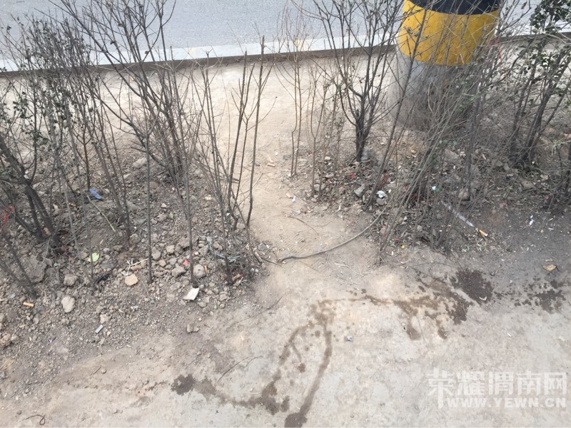 ��������̻��������ﱾ��û��·���ߵ��˶��˾���·�ˣ�ͼ��