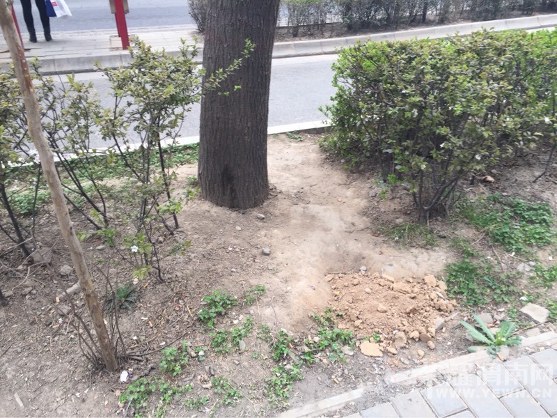 ��������̻��������ﱾ��û��·���ߵ��˶��˾���·�ˣ�ͼ��