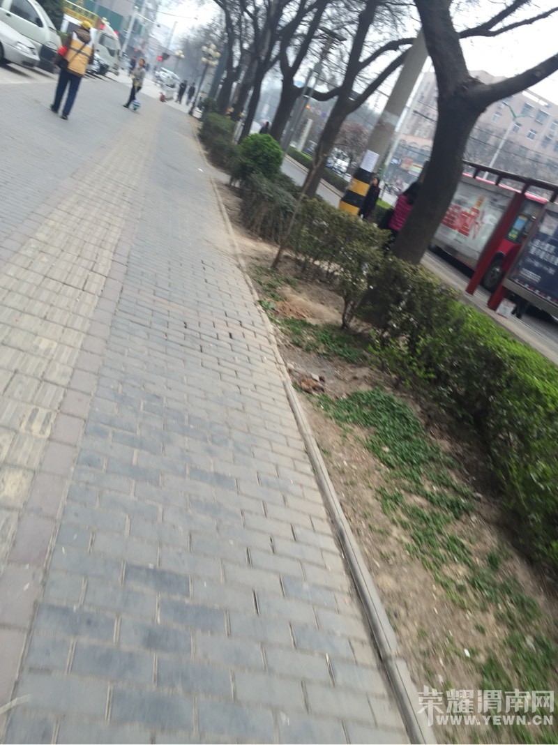 ��������̻��������ﱾ��û��·���ߵ��˶��˾���·�ˣ�ͼ��