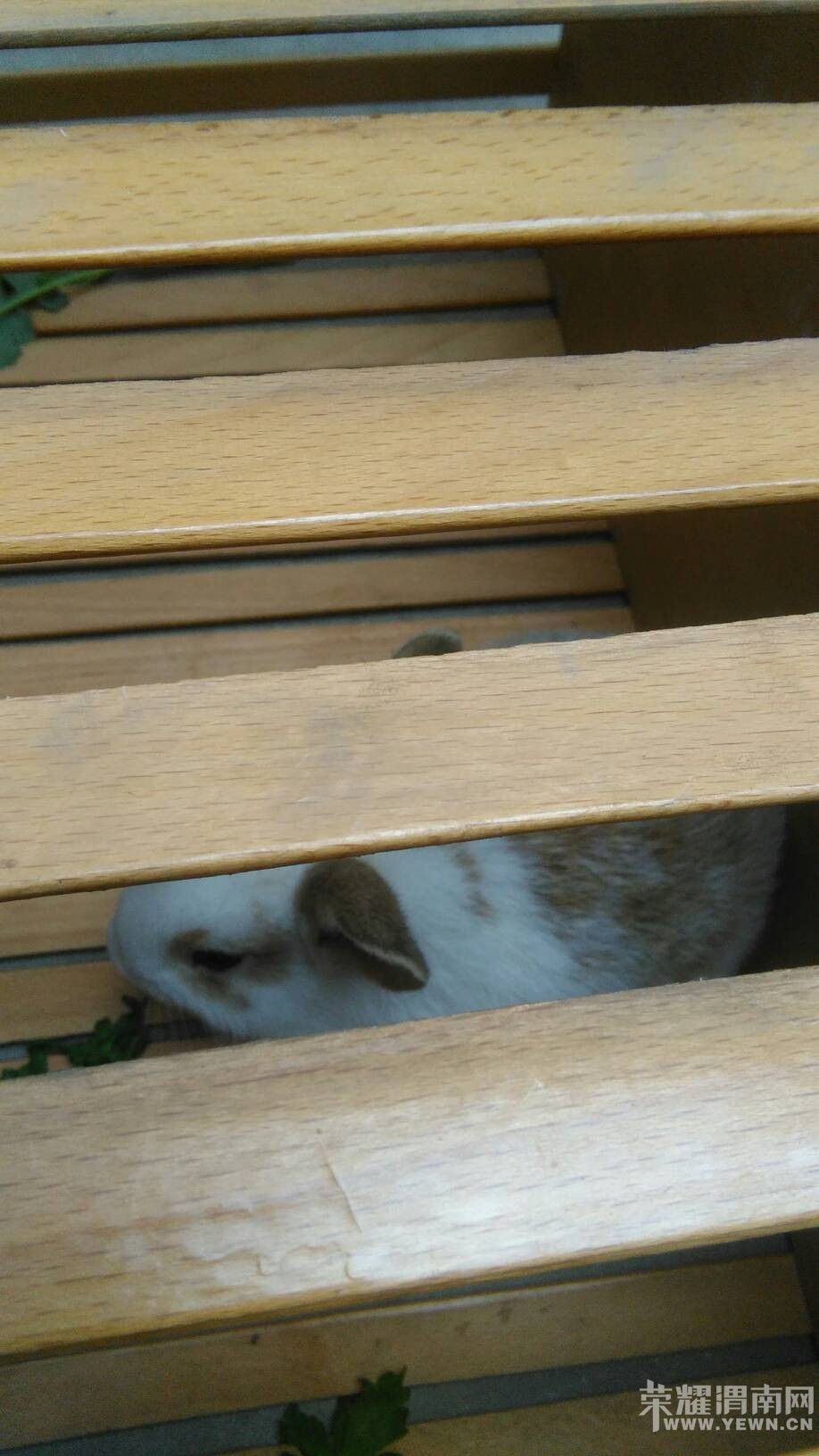 �Ҽ����˸��³�Ա�����ñ��������Ҽ�