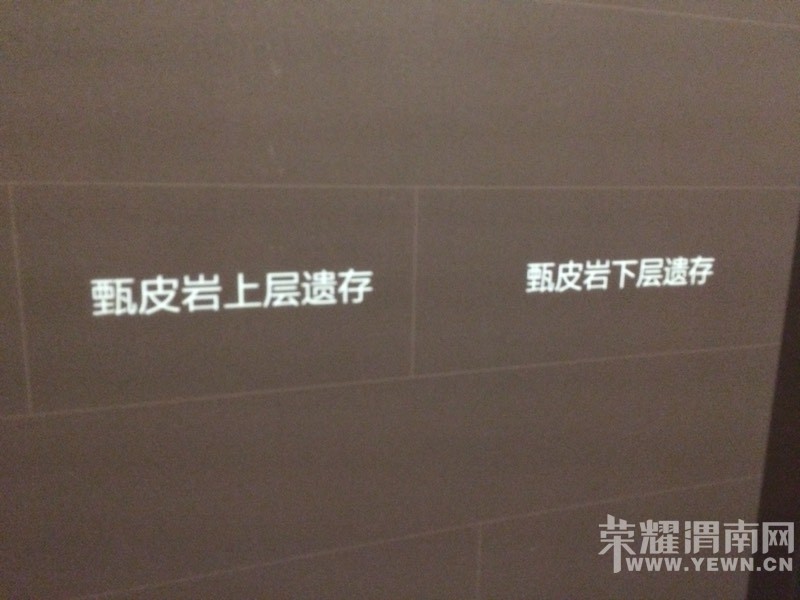 ����������Ӧ��μ�ϲ���ݳ���չ�е��������йز����ܷ����ģ�