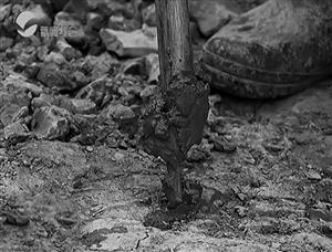 �����ֵ��ڳ�"����"������ˮӿ��  ��ζ�̱�