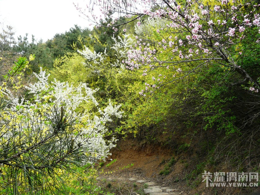 ԥ����Ͽ��ӣ�����ٽڿ�Ļ���켷���ο�