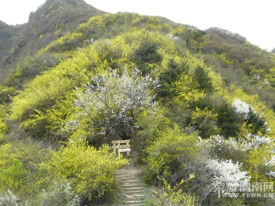 ԥ����Ͽ��ӣ�����ٽڿ�Ļ���켷���ο�