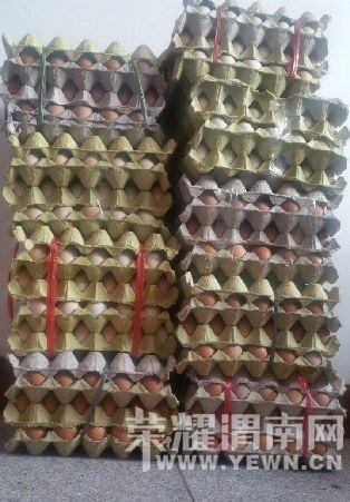 Ů�Ӳ��Ӻ��յ�1200ö���� �ɷ����Ϸ���1������