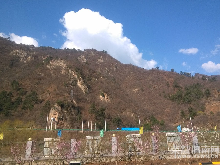 ����δ���ĺ�����  ���鲻��