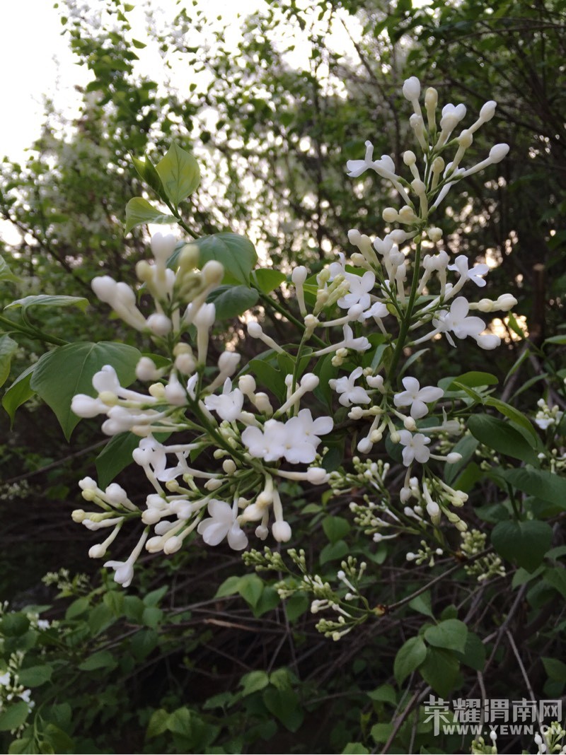 �������ݣ��������𣺴��������ͻ�ʱ�벻Ҫ�˺����ǣ�