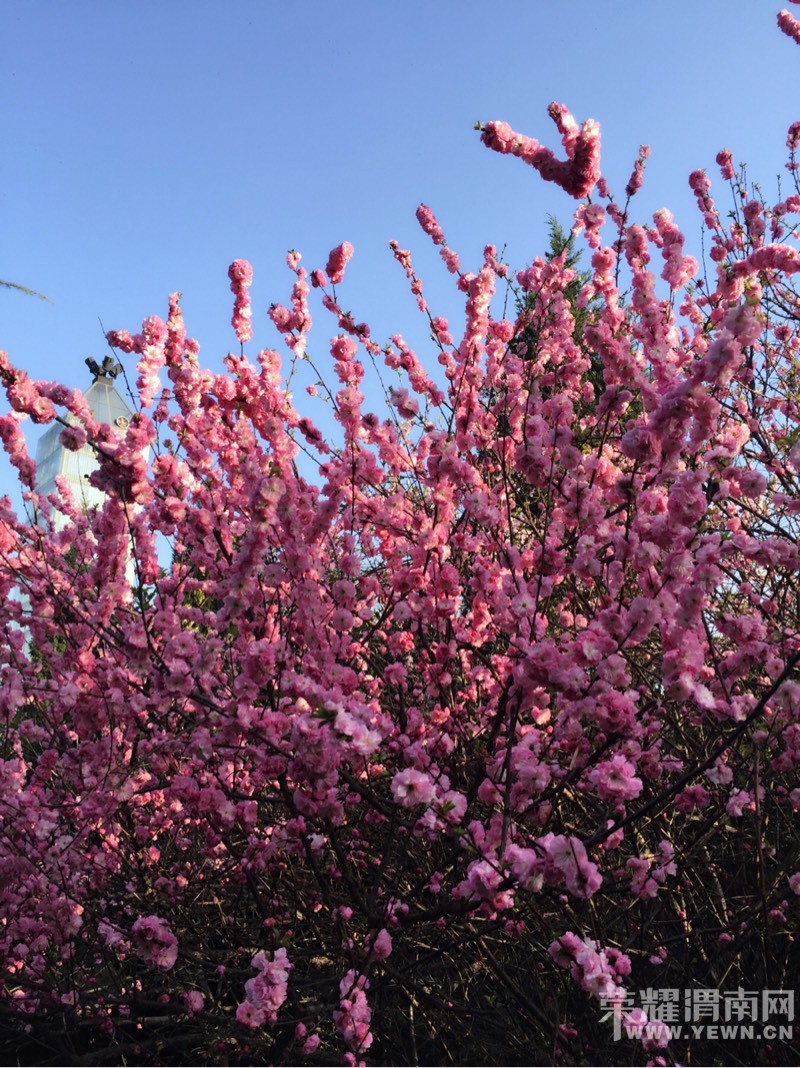 �������ݣ��������𣺴��������ͻ�ʱ�벻Ҫ�˺����ǣ�