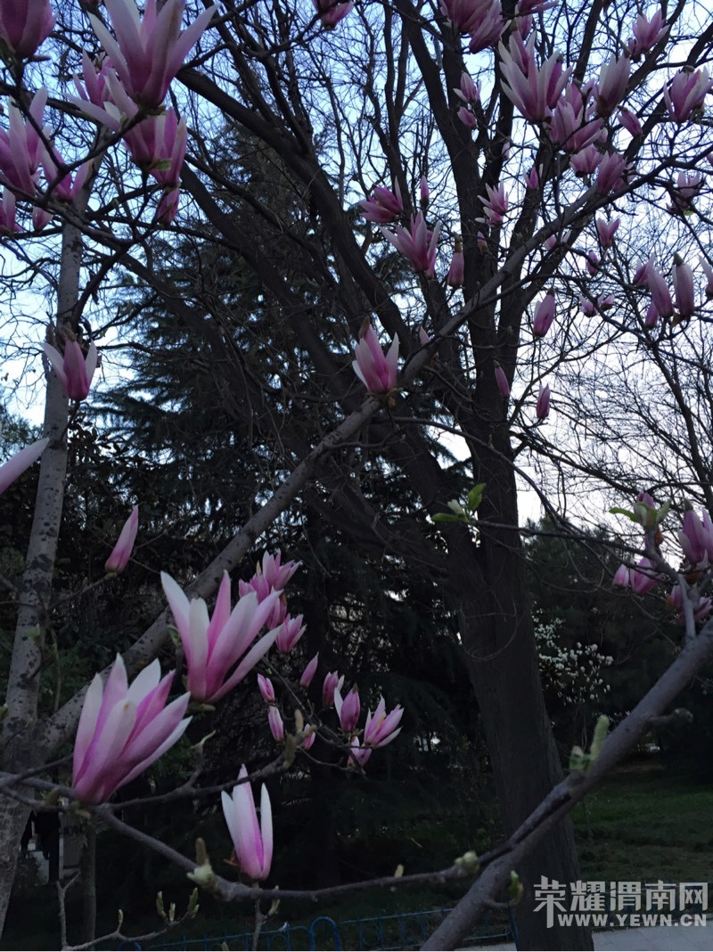 �������ݣ��������𣺴��������ͻ�ʱ�벻Ҫ�˺����ǣ�