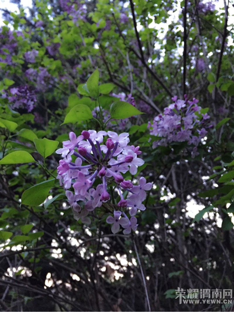 �������ݣ��������𣺴��������ͻ�ʱ�벻Ҫ�˺����ǣ�