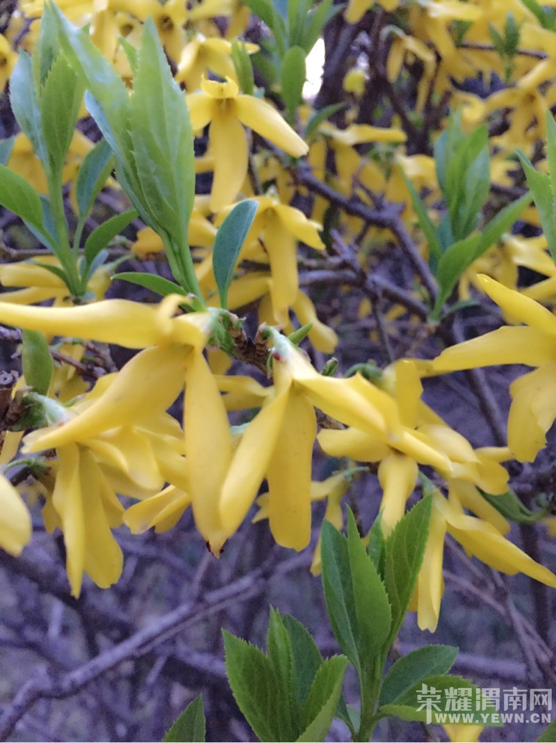 �������ݣ��������𣺴��������ͻ�ʱ�벻Ҫ�˺����ǣ�