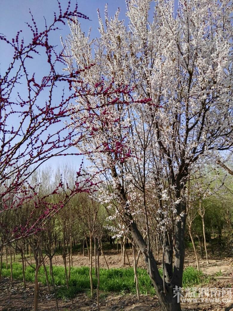 μ�ϵ����������ˣ�����˲��Ҳ��������~