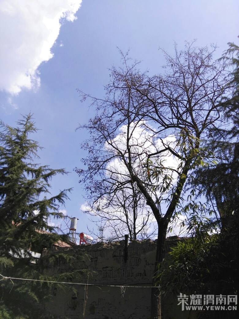 μ�ϵ����������ˣ�����˲��Ҳ��������~