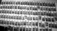 ��ͽ���ڶĲ���ץ ������Ԫ�Ľ𶪽�������