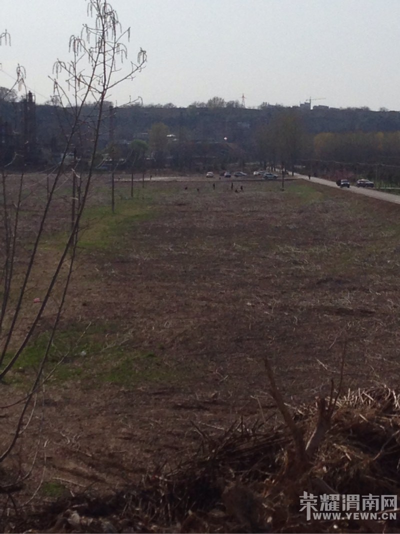 ������̬��԰����Ҫ��ʲô���ϲ�������ȫû�ˣ�