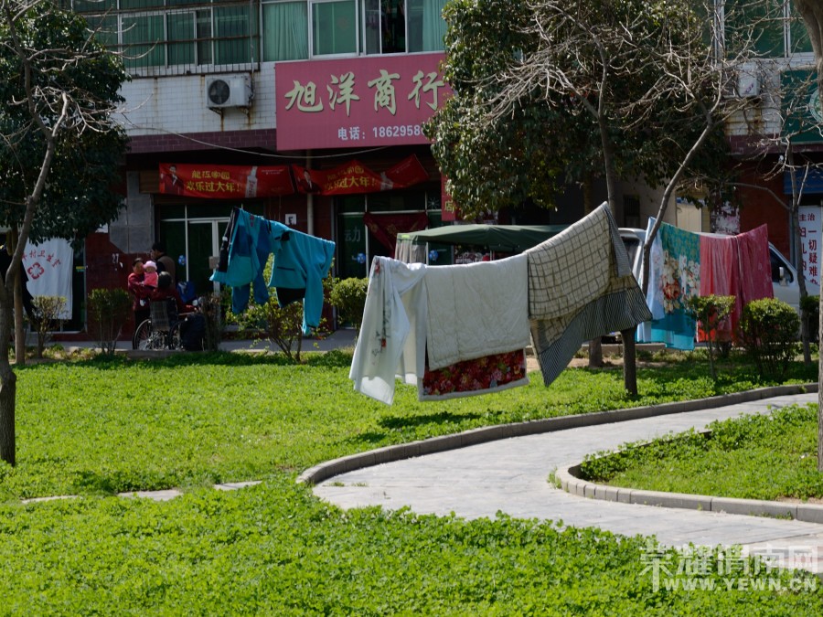 ��԰���������³���