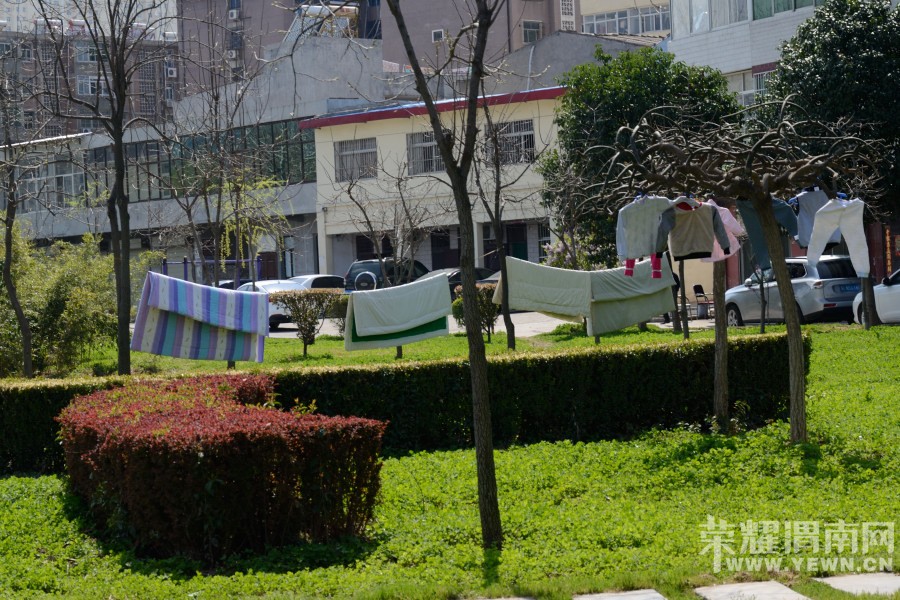 ��԰���������³���