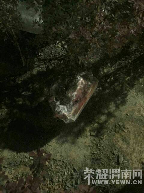 ��μѲ��Ϊ�����Ϊ���ǵ��ޡ�