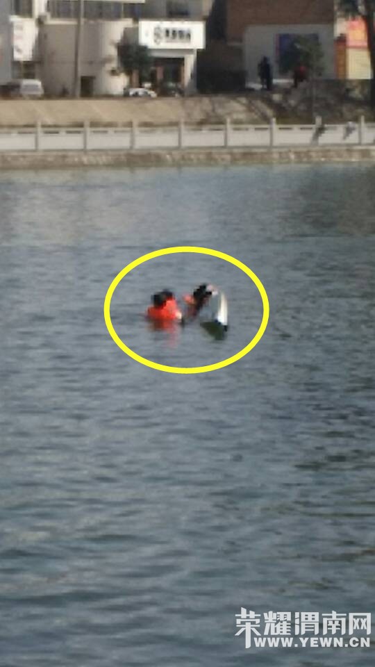 �Y�ӹ�԰ż��������ˮ�����������