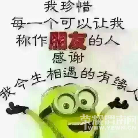 225407s6hx4hhmh7c22hz2.jpg