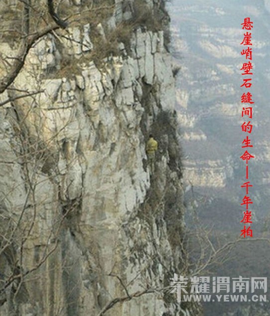 ���ı��󡢿������°أ�˭�����ȱ���������°أ�