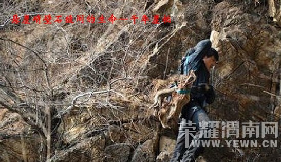 ���ı��󡢿������°أ�˭�����ȱ���������°أ�