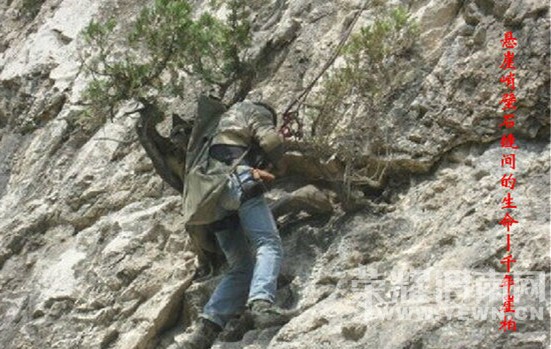 ���ı��󡢿������°أ�˭�����ȱ���������°أ�