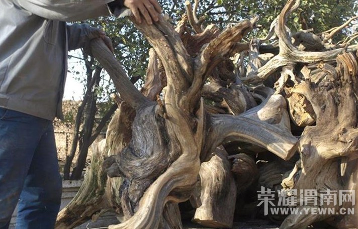 ���ı��󡢿������°أ�˭�����ȱ���������°أ�