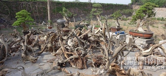 ���ı��󡢿������°أ�˭�����ȱ���������°أ�