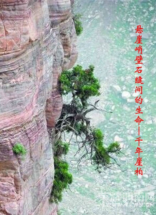 ���ı��󡢿������°أ�˭�����ȱ���������°أ�