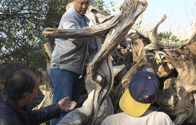 ���ı��󡢿������°أ�˭�����ȱ���������°أ�