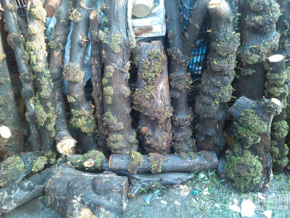 ���ı��󡢿������°أ�˭�����ȱ���������°أ�