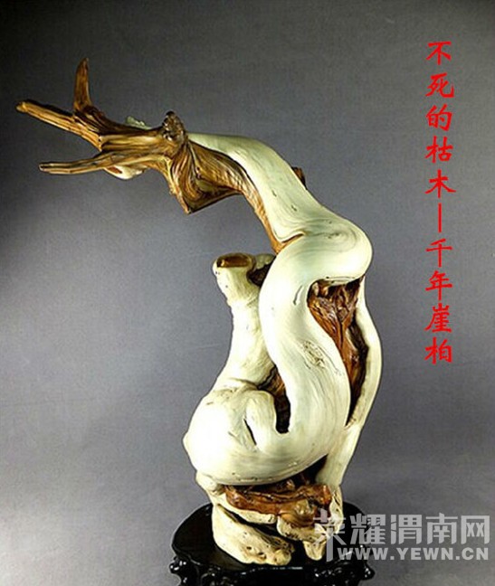 ���ı��󡢿������°أ�˭�����ȱ���������°أ�