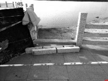 ͬѧ�ۻ���ι�԰ 3����ˮ��