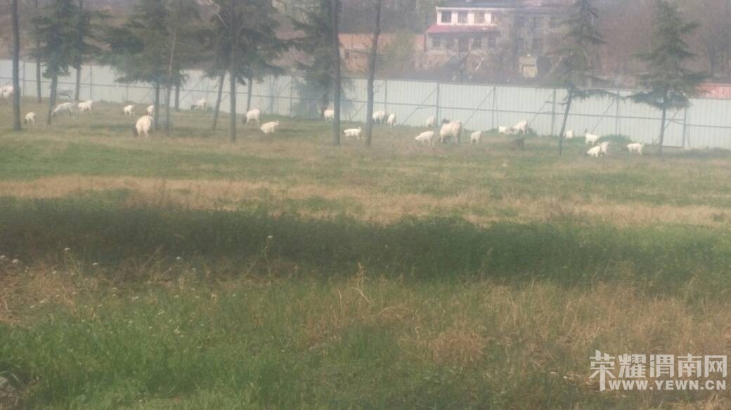 �����ڛY�ӹ�԰��ƺ�Ϸ��򣿣�������ô���ۣ�