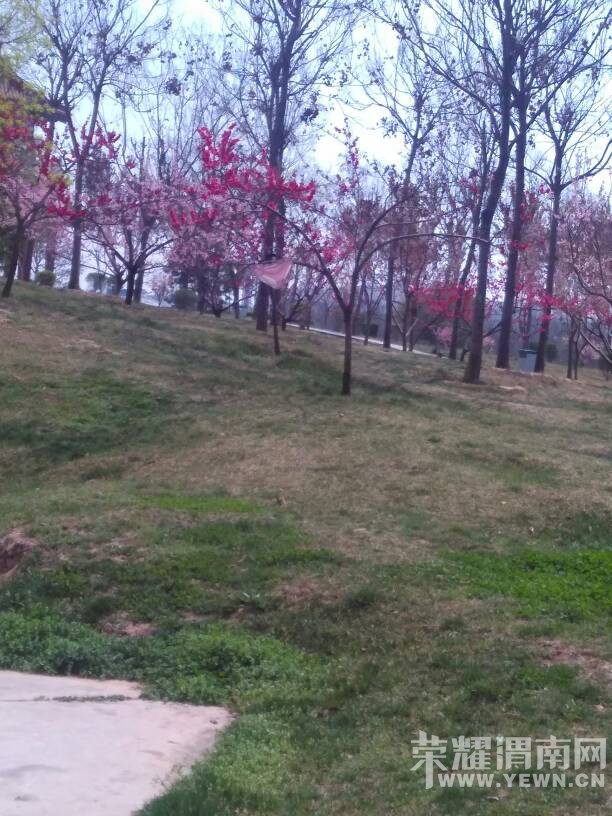 �������ã�ֻ�Ǿ����е㲻�������㵱�������ѽ��