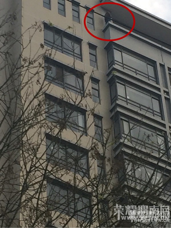 ����·�Ŵ��ִ�������Ŀ�õ���¥һĻ��ʲô�벻���ġ���