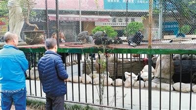 ������������6�׸ߴ����� �������ֶ���������