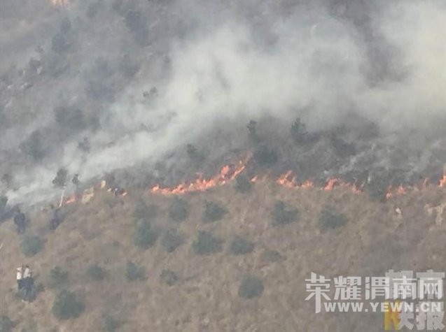 ������ɽ�Ż����οͱ��� �����ٱ��ϸ��ֳ���Ԯ