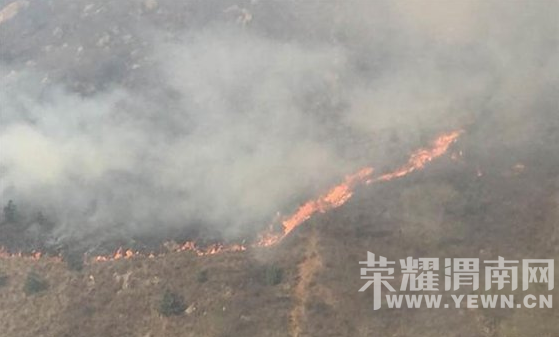 ���������ȼ�Ĳ�����ɽ����� ������������