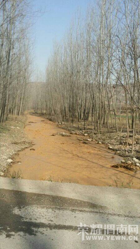 μ�������񿴿����Ƕ�����Щɶˮ����