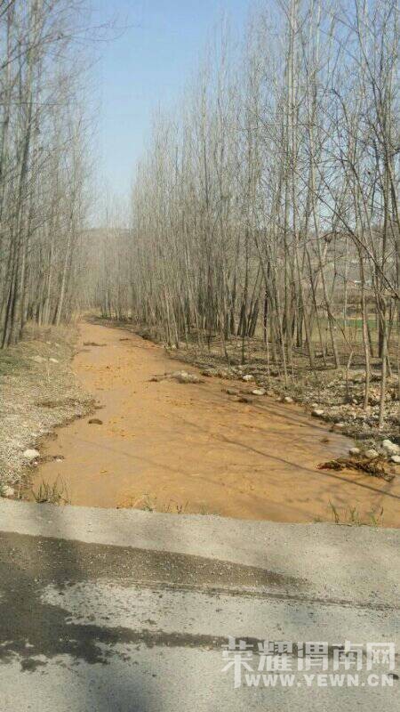 μ�������񿴿����Ƕ�����Щɶˮ����