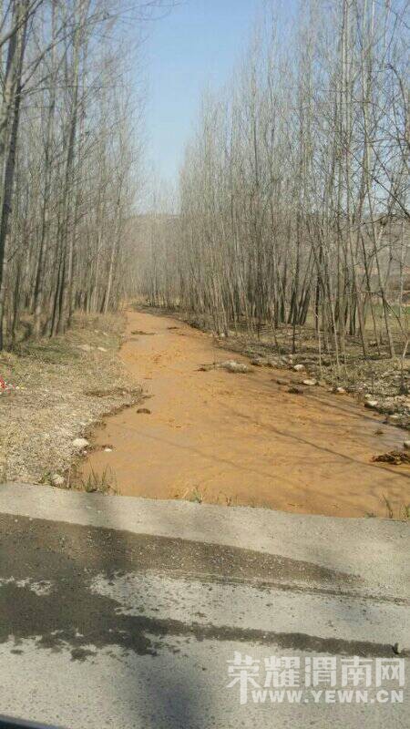 μ�������񿴿����Ƕ�����Щɶˮ����