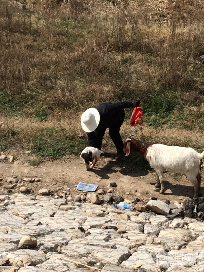 ���Ӵ���϶�һ���ķ���ʱ��ĸ���������͵�Ϊĸ���������ͼ��