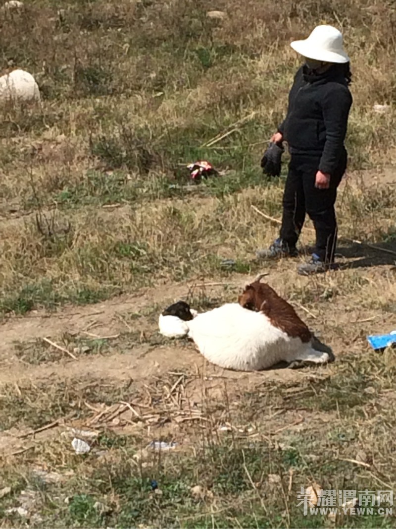 ���Ӵ���϶�һ���ķ���ʱ��ĸ���������͵�Ϊĸ���������ͼ��