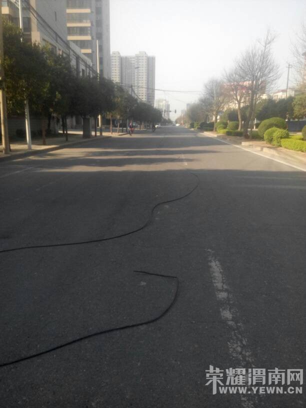 ����������С���ſ�һ���ߺ���·�м䣬����ز��Ž��